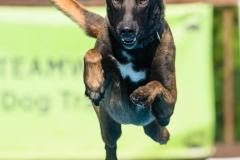 809_6974-2-scaled