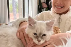 Kittens-in-their-new-home_10