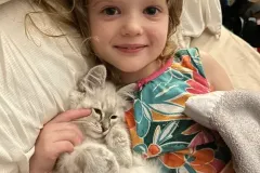 Kittens-in-their-new-home_15