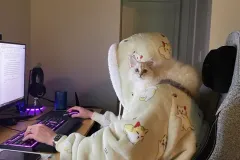 Kittens-in-their-new-home_21