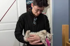 Kittens-in-their-new-home_h_741-1