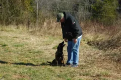 Puppies-In-Their-New-Home-2