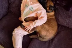 Puppies-in-their-new-home_-4