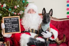 Puppies-in-their-new-home_h_1378