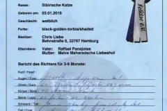 Black-Golden-Torbie-Sanza-9