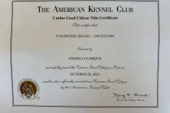 Belgian-Malinois-Valentine-10